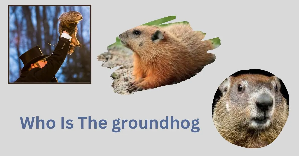 Who Is The groundhog