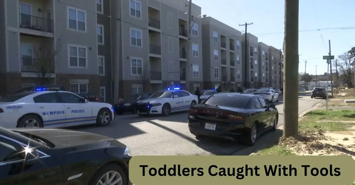 Toddlers Caught With Tools