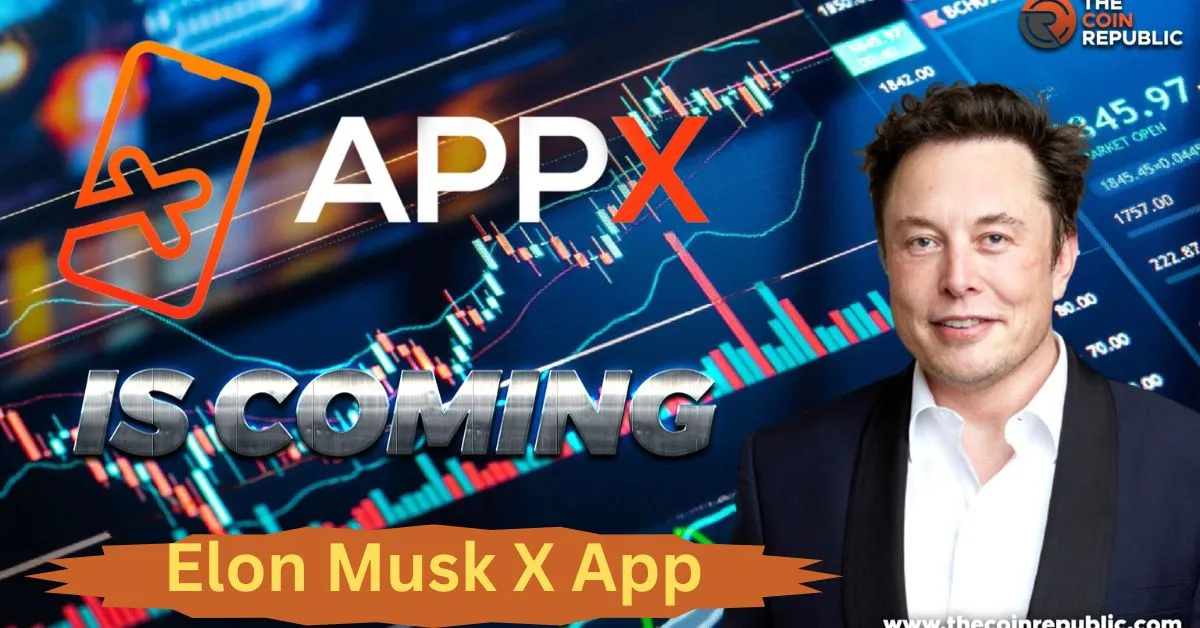 Elon Musk X App